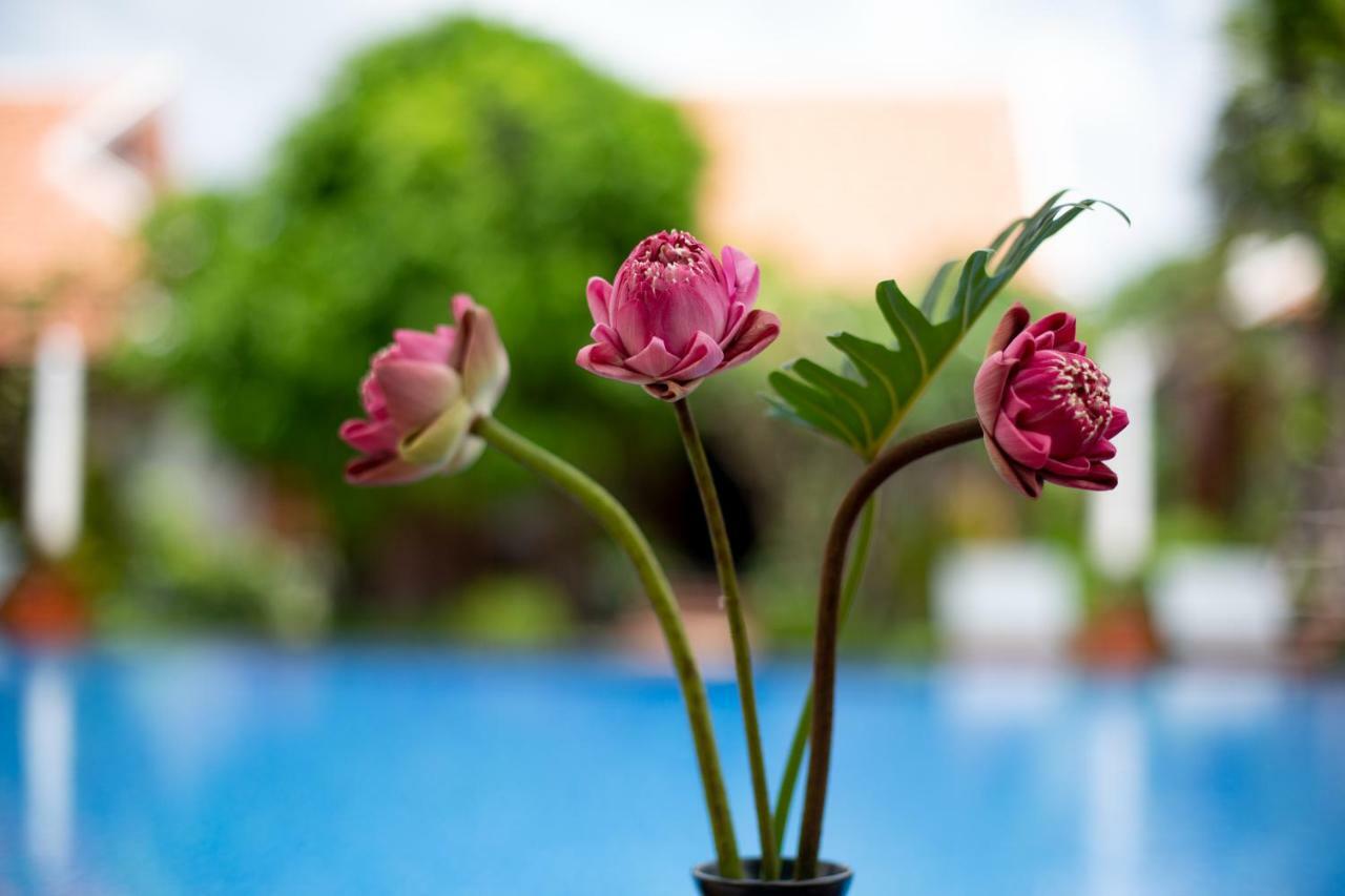 Angkor Privilege Resort & Spa Siem Reap Buitenkant foto